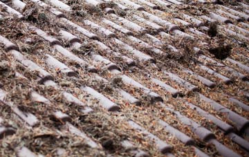 Meidrim roof cleaning companies