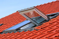 Meidrim roof window